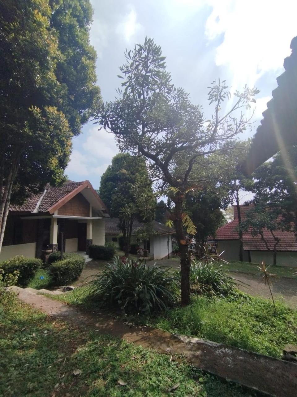Forest Resort & Onsen Claket Bagian luar foto